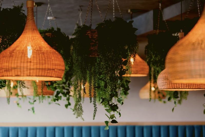 ©ptcreative-trailback-5531 dining experience in Newquay